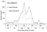 Thumbnail of Weekly stranding rate of all recorded stranded seals compared to that of seals that underwent necropsy.