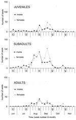 Thumbnail of Weekly stranding rate of stranded harbor seals in each age category, by sex.