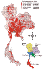 Thumbnail of Distribution of poultry population in Thailand in 2003.