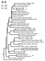 Thumbnail of Genetic relationships among 35 North American Francisella tularensis subsp. tularensis A.II. subpopulation isolates based upon allelic differences at 24 variable number tandem repeat (VNTR) markers. County, state, and year of isolation are specified to the right of each branch or clade. G indicates number of distinct VNTR marker genotypes, triangle indicates epidemiologically linked isolate, asterisk indicates isolate with an unknown year of isolation, boxed designation indicates F.