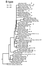 Thumbnail of Genetic relationships among 72 North American Francisella tularensis holarctica B type isolates based upon allelic differences at 24 variable number tandem repeat (VNTR) markers. County, state, and year of isolation are specified to the right of each branch or clade. G indicates number of distinct VNTR marker genotypes, squares indicate genetically identical but epidemiologically unlinked isolates, asterisk indicates isolate with an unknown year of isolation, dot indicates a host-li