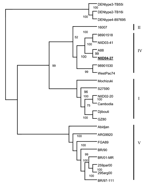 Phylogenetic tree based on the full-length genome sequence of 21 available dengue virus (DENV) type 1 strains and DENV-2, -3, and -4. The multiple sequence alignments were obtained with ClustalX, and the tree was constructed by the neighbor-joining method. The percentage of successful bootstrap replicates is indicated at the nodes. The NIID04-27 strain is indicated in boldface. Genotypes I, II, IV, and V correspond to DENV-1 genotypes as defined by Goncalvez et al. (10).