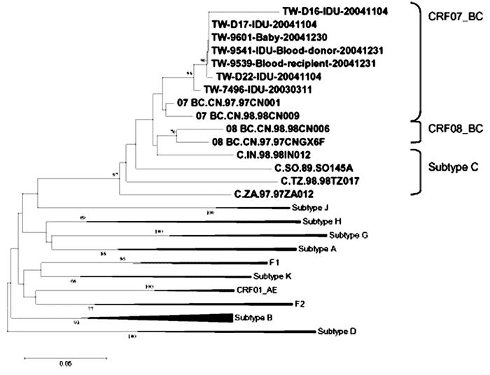 Phylogenetic analyses of 7 HIV-1 isolates identified in Taiwan. TW-7496, TW-D16, TW-D17, and TW-D22 were collected from detention center inmates; TW-9541 and TW-9539 were collected from a blood donor and 1 of his donation recipients. This neighbor-joining tree was created from 100 bootstrap samples of aligned env sequences corresponding to the 7077–7340 nucleotide residues of HIV-1-HXB2 from different isolates. Bootstrap values are shown on branch nodes. Reference isolates from the GenBank HIV d