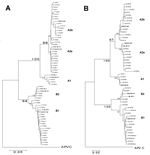 Thumbnail of Neighbor-joining phylogenetic trees of human metapneumovirus (HMPV). A) Partial F gene (506-nucleotide [nt] fragment). B) Partial N gene (424-nt fragment) of 191 HMPV strains recovered in Germany during the 2003–2004 season. Bootstrap resampling was applied (n = 1,000) with random sequence addition. Bootstrap values based on the consensus tree are plotted at the main internal branches to show support values. Sequences from the avian metapneumovirus C were included in the analysis an