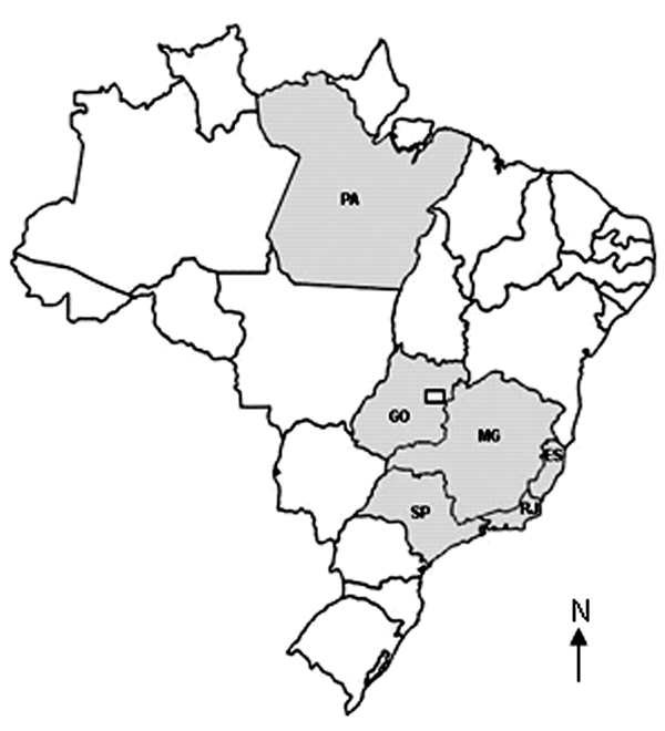 Brazilian states where vaccinia viruses were isolated. ES, Espírito Santo State: Espírito Santo isolates in 2004 (unpublished); GO, Goiás State: Goiás isolates after 2001 (3); MG, Minas Gerais State: Belo Horizonte virus in 1993 (15), Minas Gerais isolates after 2001 (3), Passatempo virus in 2003; PA, Pará State: BeAn 58058 virus in 1963 (6); RJ, Rio de Janeiro State: Cantagalo virus in 1999 (2); SP , São Paulo State: SPAn232 virus in 1979 (14), Araçatuba virus in 1999 (1), São Paulo isolates af