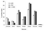 Thumbnail of Percentage of positive microscopic agglutination tests by Leptospira serovar, using 3 different cutoff titers for 23,005 canine sera from 2002–2004. Serovars Canicola and Icterohaemorrhagiae have been used in canine bacterins for leptospirosis during the study period. Ictero., Icterohaemorrhagiae; Autumn., Autumnalis; Bratisl., Bratislava; Grippo., Grippotyphosa.