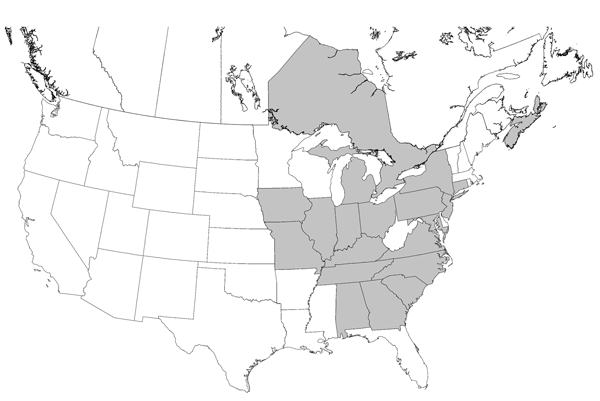 Distribution of hunt clubs with confirmed cases of visceral leishmaniasis, United States and Canada. States in which hunt clubs or kennels had &gt;1 dog infected with Leishmania infantum are shaded. Leishmania-positive foxhounds were also found in Nova Scotia and Ontario.