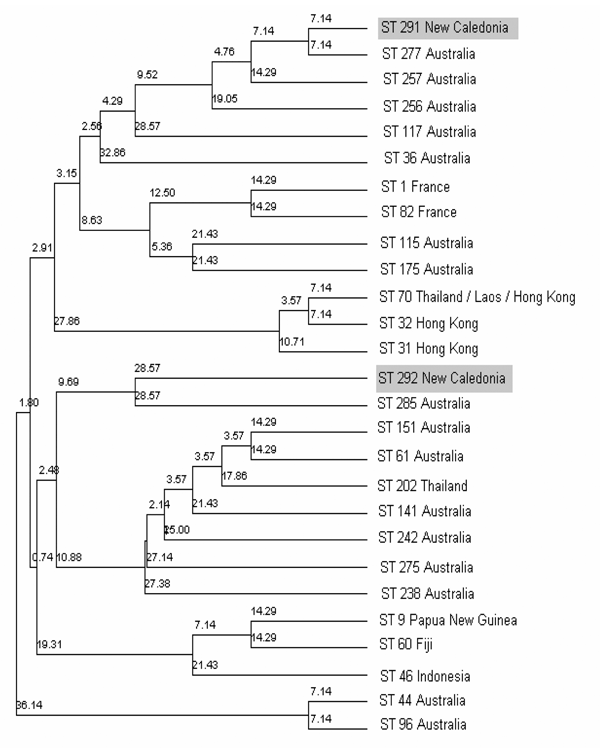 Phylogenetic tree constructed from the concatenated sequences of the 7 multilocus sequence type loci from Burkholderia pseudomallei isolates, illustrating the relationship of the 2 Caledonian strains to Australian and Thai isolates.