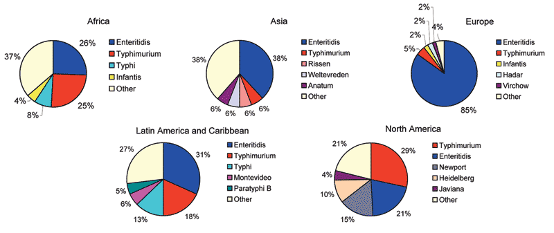 Proportion of most common serotypes of reported human Salmonella isolates by region, 2002.