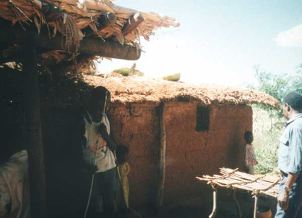 Traditional Tembe dwelling in Tanzania.