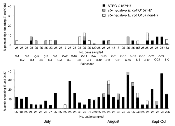 Fecal prevalence of Shiga-toxigenic (stx) Escherichia coli (STEC) O157:H7, stx-negative E. coli O157:H7, and stx-negative E. coli O157:non-H7 in 1,102 pens of pigs and 1,407 cattle (244 dairy cattle and 1,163 beef cattle) during exhibitions at 3 US state fairs and 29 county fairs, 2002. C, county; S, state. Data are presented in the order that fairs were sampled.