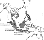 Thumbnail of Geographic range of Pteropus vampyrus (5) and proportion of bats whose sera neutralized Nipah virus (NiV) and Hendra virus (HeV) at each location. Numbers are given as the ratio of the number of positive samples to the total number of positive and negative samples (excluding bats in which a toxic reaction precluded a definitive test outcome and bats that had inadequate samples for neutralization testing).