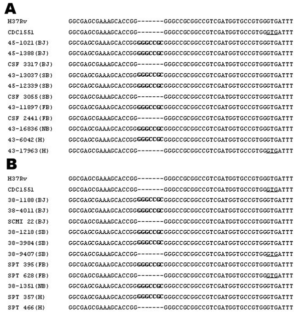 Sequence alignment of region corresponding to the 3´ portion of pks15 and 5´ portion of pks1 in various Mycobacterium tuberculosis genotypes. A) M. tuberculosis strains isolated from cerebrospinal fluid. B) M. tuberculosis strains isolated from sputum. Letters in brackets refer to IS6110 restriction fragment length polymorphism patterns: BJ, Beijing; SB, single banded; FB, 2–5 bands; NB, Nonthaburi; H, heterogeneous. The 7-bp insertion is shown in boldface, and the start codon of the pks1 gene i