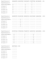 Thumbnail of Comparison of partial N-gene nucleotide sequences obtained from the Siliguri specimens (by patient number, see Table) to sequences obtained from Nipah virus isolates from Bangladesh (AY988601) and Malaysia (AF212302, AF376747). Letters indicate positions that differ from the reference sequence on the top line, Nipah-malaysia-1. Dots indicate nucleotide identity. R indicates A or G.