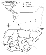 Thumbnail of Geographic distribution in Guatemala of horses showing previous infections with West Nile virus (WNV), Saint Louis encephalitis virus (SLEV), or undifferentiated flavivirus as confirmed by plaque reduction neutralization test. Each location may have multiple positive horses.