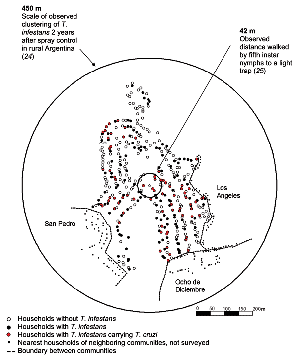Map of households with Triatoma infestans and Trypanosmona cruzi–infected T. infestans in Guadalupe, a periurban community of Arequipa, Peru. Concentric circles are drawn around a house near the center of Guadalupe and represent parameters of T. infestans dispersal observed in rural areas (24,25). The nearest houses of neighboring communities are included for reference.