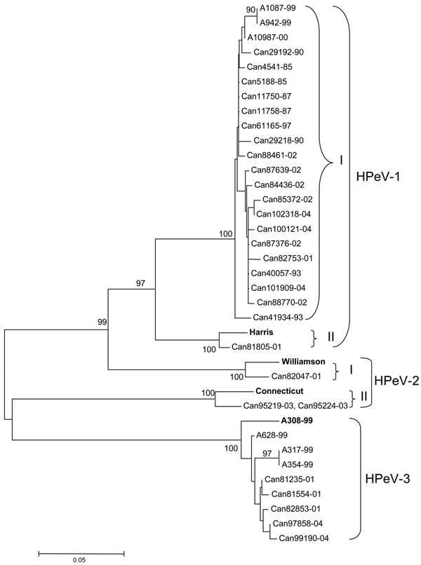 Phylogenetic analysis of Canadian human parechovirus (HPeV) isolates and HPeV-1 (Harris, GenBank accession no. S45208), HPeV-2 (Williamson, AJ005695, and Connecticut, AF055846), and HPeV-3 (A308-99, AB084913) reference strains based on the ClustalW alignment of the VP3 amino acid sequences. Japanese HPeV-1 (A1087-99, accession no. AB112485; A942-99, AB112486; and A10987-00, AB112487) and HPeV-3 (A628-99, accession no. AB112484; A317-99, AB112482, and A354-99, AB112483) isolates were also include