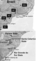 Thumbnail of Location of samples obtained from Brazil. A) Samples were collected from Belo Horizonte, Minas Gerais (MG), Erechim City (ER), São Paulo (SP), Agronomica (AG), and Santa Vitttoria do Palmar (SV) (abbreviations as found in the Table). B) Clinical samples were collected from Erechim, the surrounding region (numbered as in the Table), and from 2 outbreaks in AG and SV.