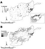 Thumbnail of A) Prevalence of Plasmodium vivax in Afghanistan, according to a 2005 survey (n = 269) and previous prevalence surveys conducted by HealthNet-TPO, 2000–2003 (n = 64). Lower-right inset shows ecologic zones in Afghanistan according to differences in elevation, temperature, and land cover. White, high altitude rangeland; light gray, desert; dark gray, grassland; black, irrigated/marshland. B) Predicted probability of P. vivax transmission (prevalence &gt;0%) in Afghanistan, according 