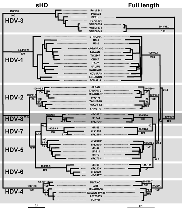 Maximum likelihood trees inferred from hepatitis delta virus (HDV) nucleotide sequences. Left panel: Maximum-likelihood phylogram obtained from the small hepatitis delta antigen dataset. Right panel: Maximum-likelihood phylogram obtained from the full-length HDV genome dataset. Bootstrap values (103 replicates) obtained for neighbor-joining and maximum parsimony are indicated above the branches; posterior probabilities (inferred from 5×103 trees generated from MrBayes application) are indicated 