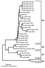 Thumbnail of Sequence phylogeny based on partial E gene sequence of Japanese encephalitis virus isolates from the Gorakhpur epidemic, with reference to other Southeast Asian isolates. The tree was generated by neighbor-joining method. Each strain is abbreviated with the country of origin, followed by the year of isolation. Bootstrap values are indicated at the major branch points.