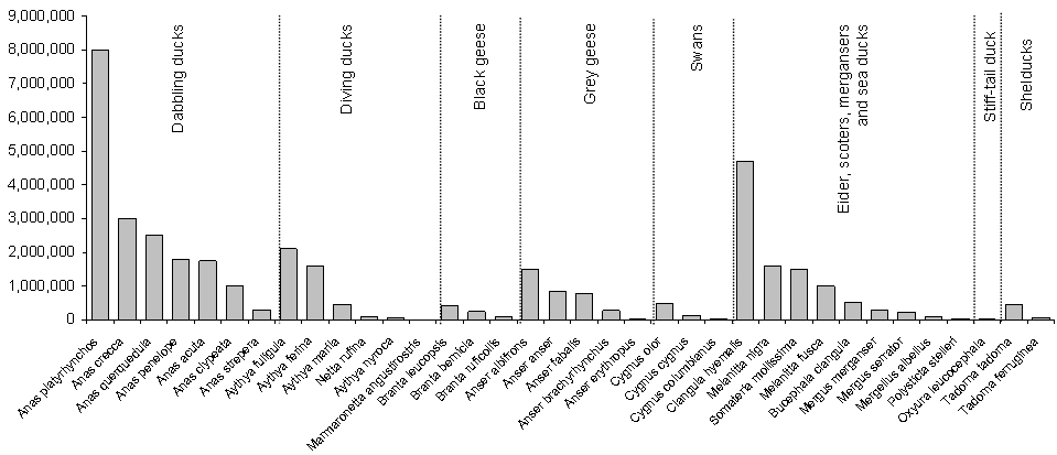 Population of Anatidae in the western Palearctic (7).