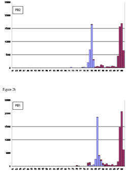 Histograms on comparing 306 human versus 95 avian influenza A viruses, based on nucleotide pairwise sequence identities. Vertical axis shows the count for pairs of sequences with specific percent identity (rounded to integer). Red bars represent frequencies for 'homo' pairs – sequences of the same host species (human to human, or avian to avian); blue bars represent frequencies for 'hetero' pairs – pairs that cross host species (human to avian, or avian to human). Adobe Acrobat PDF available at 