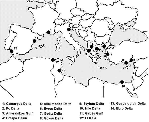 Map of the main Mediterranean wetlands (sites no. 1, 2, 11, 12, 13, 14 are considered western Mediterranean wetlands).