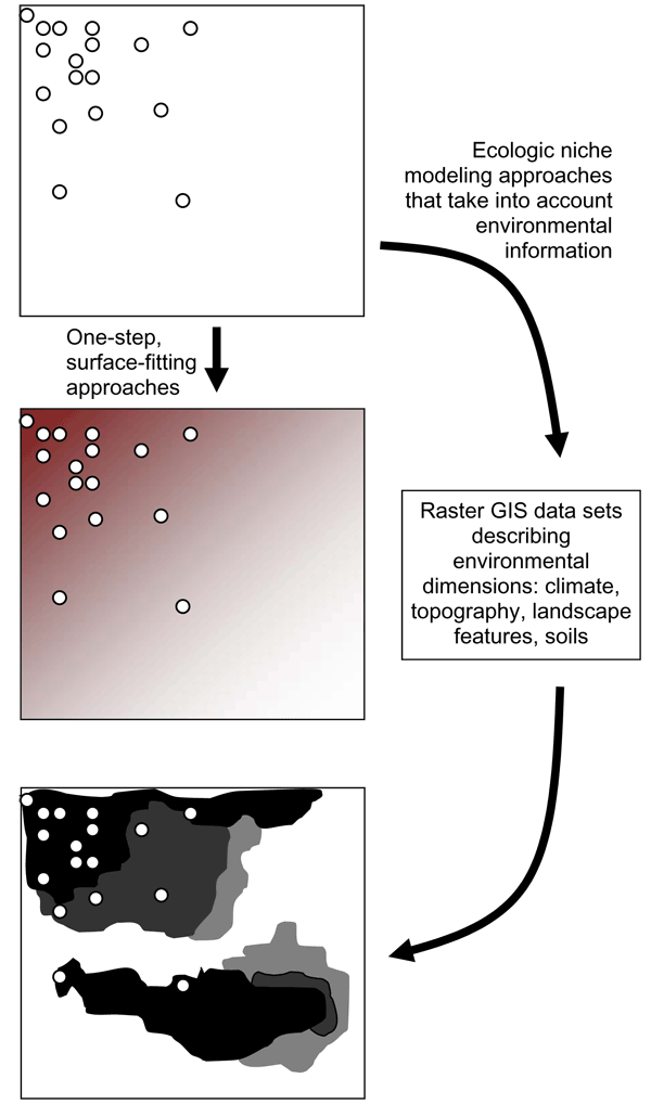 Hypothetical example of a species’ known occurrences (circles) and inferences from that information. The middle panel shows the pattern that would result from a surface-fitting or smoothing algorithm, and the bottom panel shows the ability of ecologic niche modeling approaches to detect unknown patterns in biologic phenomena based on the relationship between known occurrences and spatial patterns in environmental parameters. GIS, geographic information system.