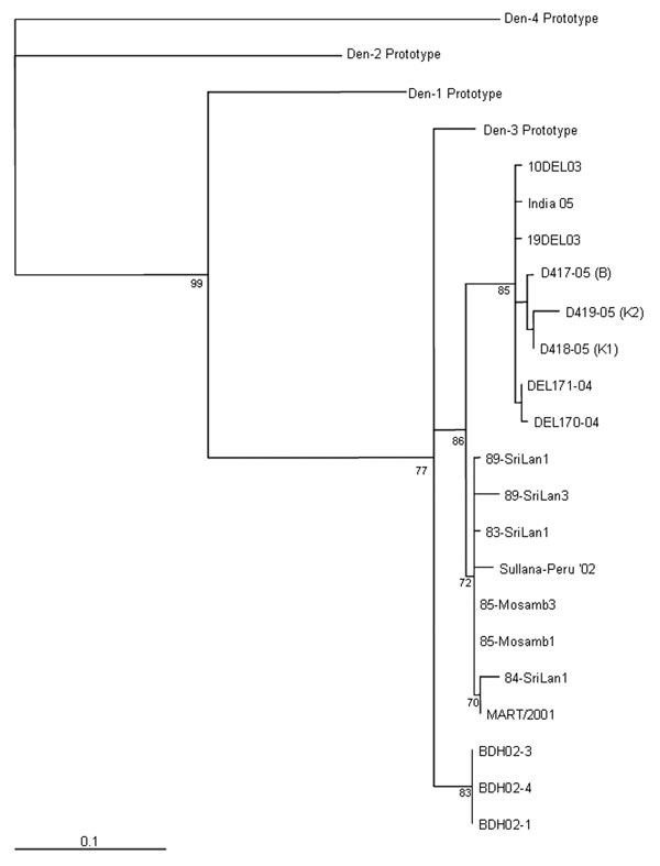 Maximum-likelihood phylogenetic tree of established dengue virus 3 serotypes and new sequences from Pakistan identified in this study. The tree is based on a 238-nt sequence alignment comprising the C/PrM/M gene (nucleotides: 179–417 dengue virus 3 prototype [NC_001475]). The bar shows the number of substitutions per bases weighted by the Tamura-Nei algorithm. Horizontal distances are equivalent to the distances between isolates; numbers at nodes indicate support values for the branch of the tre
