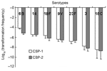 Thumbnail of Competence (transformation frequency) induced by competence-stimulating peptide 1 (CSP-1) and CSP-2 in clinical isolates.