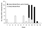 Thumbnail of Infected flocks detected by week of reporting period, January 1–March 26, 2005, southern Cambodia. Cluster refers to households within the circle on Figure 1.