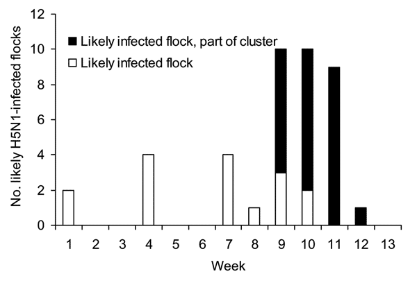 Infected flocks detected by week of reporting period, January 1–March 26, 2005, southern Cambodia. Cluster refers to households within the circle on Figure 1.