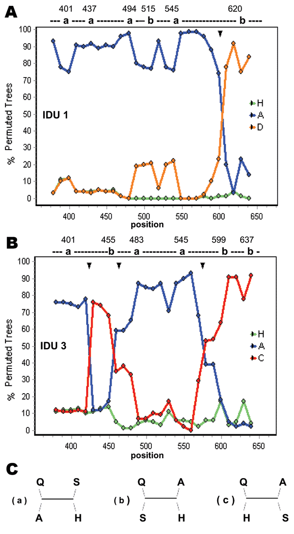 The location of recombination events in isolates IDU1 (A) and IDU3 (B), determined by using the bootscanning program of Simplot. Possible tree topologies (a, b, and c) are shown (C). The phylogenetically informative sites and the tree topologies supported at each of those sites are indicated over each plot. In the tree topologies, Q, A, and H indicate query sequences (IDU1 or IDU3), genotype A, and genotype H (outgroup) consensus sequences, respectively. S indicates consensus sequence of genotyp