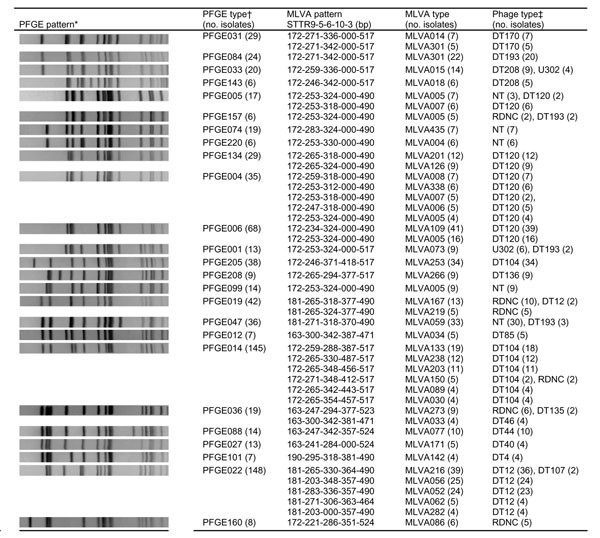 Pulsed-field gel electrophoresis (PFGE), multiple-locus variable-number tandem-repeat analysis (MLVA), phage types, and number of isolates. *PFGE patterns were sorted using the Pearson correlation in BioNumerics 4.0. †Types are shown when present 6× and when &gt;4 isolates had identical MLVA type within each PFGE type. ‡Phage types are only shown when &lt;2 isolates within each MLVA type had the same phage type.