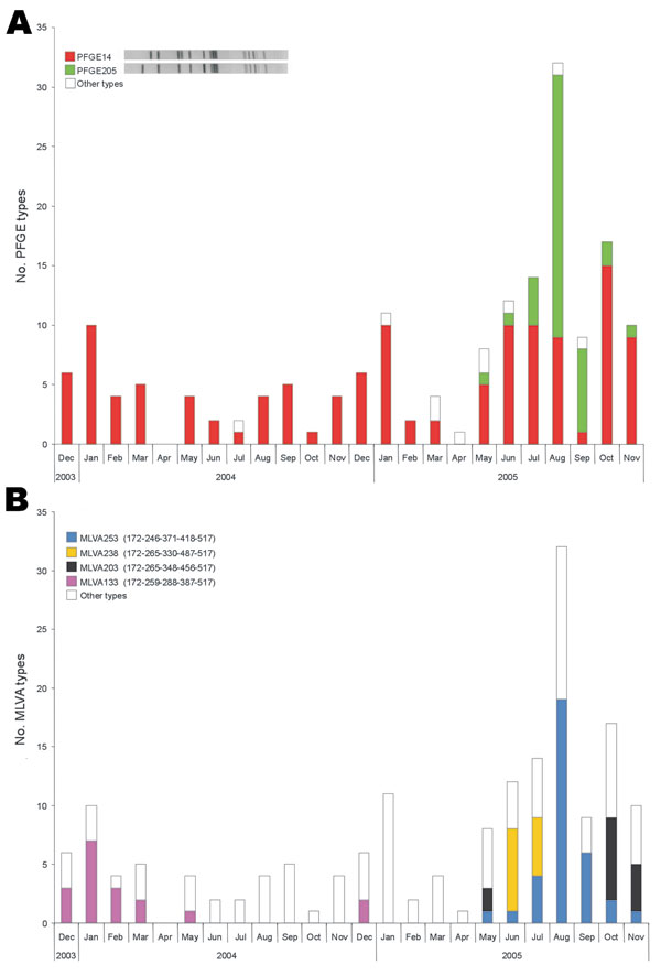 Monthly occurrence of pulsed-field gel electrophoresis (PFGE) types (A) and multiple-locus variable-number tandem-repeat analysis (MLVA) ypes (B) within Salmonella Typhimurium isolates with phage type DT104 over the 2-year study period. All PFGE and MLVA types that occurred &lt;4× were included in other types.