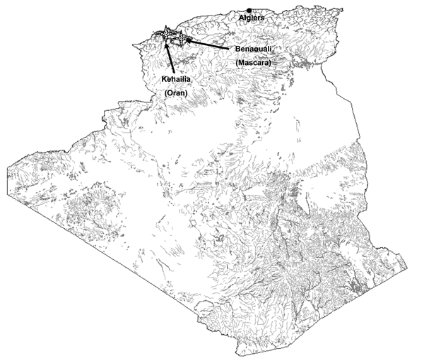 Map of the zone where fleas were collected and sites of epidemic plague reported, Algeria, June 2003.