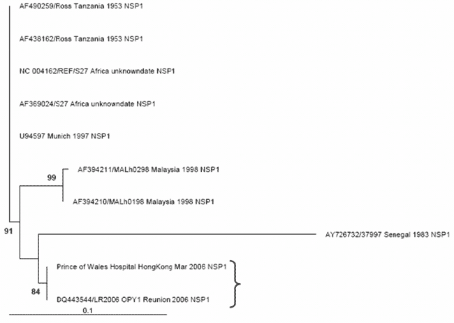 The maximum likelihood phylogenetic tree for chikungunya nonstructural protein 1 (NSP1) sequences (314 bp) constructed using PAUP* under a transitional model with equal base frequencies with a γ-distributed rate of substitution (i.e., TIM+G), as selected by MODELTEST (version 3.7) under the Akaike information criteria. The bracket shows that the PWH patient NSP1 sequence (DQ489788) clusters most closely with the outbreak La Reunion sequence (LR2006_OPY1_Reunion_2006_NSP1, DQ443544). Only bootstr