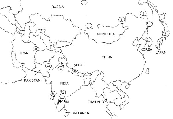Map of mainland Asia. The locations from which Arctic and Arctic-like variants of the rabies virus have been recovered are shown in circles or ovals with the group designation (1, 2a, 2b, or 3) indicated in the center. Generation of this map was achieved in part by compiling data from 2 previous publications (19,21). Viral phylogroups previously designated as A and B (21) are equivalent to groups 1 and 3, respectively, in this study. B, Bangalore, G, Goa; H, Hyderabad; K, Kasauli; M, Madras.