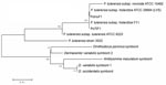 Thumbnail of Neighbor-joining phylogenetic tree based on partial sequences of the gene coding the 17-kDa lipoprotein of Francisella tularensis.