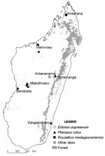 Thumbnail of Madagascar, showing bat collection sites by species. For reference, the X indicates the location of the capital city, Antananarivo, where no samples were collected.