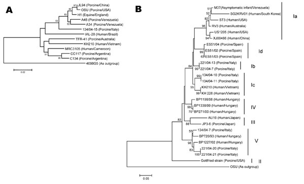 A) Phylogenetic tree constructed from deduced amino acid sequences of the VP7 gene of animal and human G5 rotaviruses. Strain 4695G5, an equine G3 strain, was used as an outgroup. Bootstrap values are expressed as percentages. Bootstrap value &lt;50 is not shown. Strain KH210 clustered with the human G5 rotavirus from Cameroon (MRC3105) and other G5 rotaviruses of porcine origin from Australia and Argentina. The Brazilian human isolate of G5 rotavirus clustered with G5 rotaviruses of porcine and equine origin. Species of origin followed by country of isolation is shown in parentheses after the strain name. B) Phylogenetic tree constructed from the deduced amino acid sequences of the VP8* gene of rotaviruses representing all P[6] lineages. Strain OSU was used as an outgroup. Bootstrap values are expressed as percentages. A bootstrap value &lt;50 is not shown. Strains KH210 and KH228 clustered with lineage Ic. Species of origin followed by country of isolation is shown in parentheses after the strain name. Scale bar shows genetic distance expressed as amino acid substitutions per site.