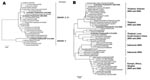 Thumbnail of A) Phylogenetic relationships of the polymerase acid protein gene comparing genotype Z, Z+, and V. B) Hemagglutinin gene of influenza A (H5N1) viruses in Thailand 2006 compared with several H5N1 strains worldwide. For a larger reproduction of the phylogenetic relationships.