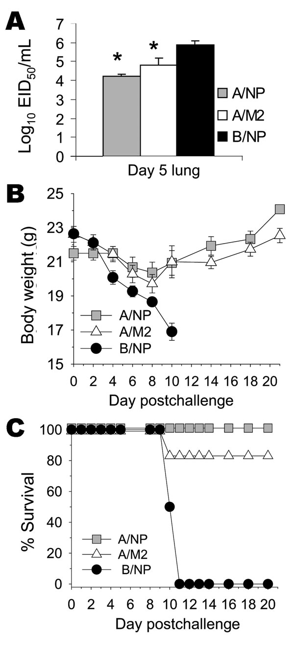 Results of vaccination with matrix protein 2 (M2)–DNA plus M2-adenovirus (Ad) and challenge with heterologous H5N1 subtype. Mice (10 per group) were vaccinated with A/NP-DNA, M2-DNA, or B/NP-DNA and boosted with matched Ad, as described in the Methods. Seventeen days after Ad boost, mice were challenged with 10× 50% lethal dose (LD50) of SP-83 (H5N1). A random subset pf mice (4/group) were humanely killed on day 5, and their lungs were assayed for virus titer, as described in the Methods. A). Re