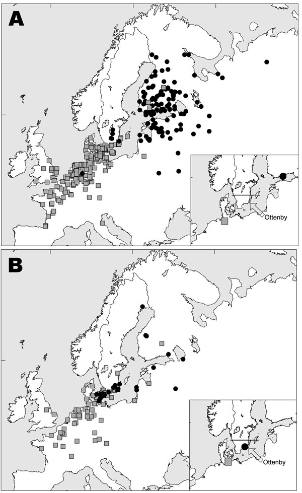 Female mallards banded in Sweden south of 57°30′N (indicated by a solid line in the inserted figures) in Oct–Dec (A) and May–Sep (B) and recovered in winter (Nov–Feb, n = 255 and n = 98) and summer (May–Aug, n = 135 and n = 53). Black dots represent summer recoveries; gray squares represent winter recoveries. Symbols on inset maps represent calculated mean positions and the location of Ottenby Bird Observatory.