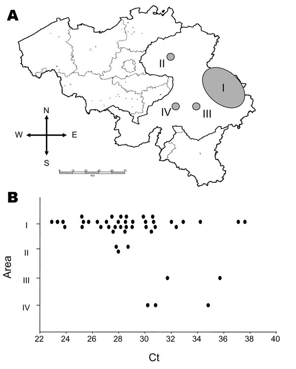 A) Distribution of outbreaks of bluetongue (shaded areas) reported in Belgium from August 18 through September 14, 2006. Area I is where the disease was initially detected. B) Cycle threshold (Ct) values observed in different zones as a result of conducting reverse transcription–quantitative PCR_S5 on individual blood samples.