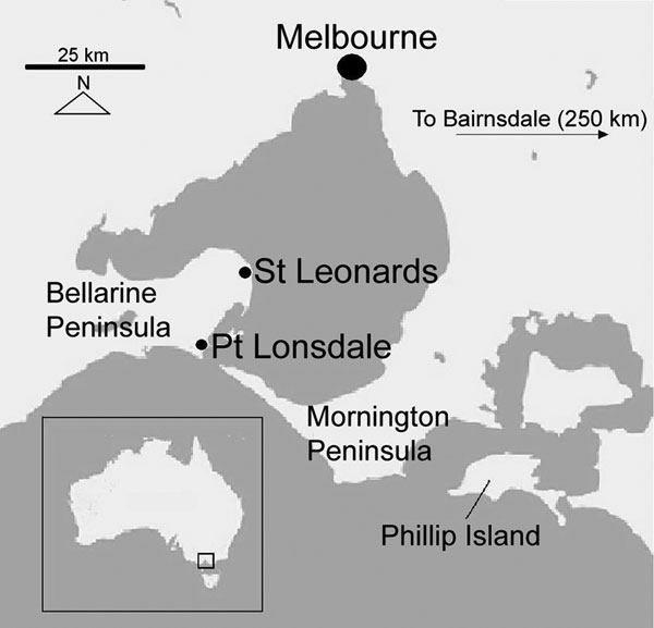 Bellarine Peninsula region, southeastern Australia.