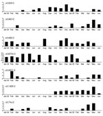 Thumbnail of Monthly recovery rates of most common Streptococcus dysgalactiae subsp. equisimilis (group C and group G streptococci) emm sequence subtypes (STs) in community 1, Northern Territory, Australia. Values along the y-axes are no. bacterial isolates per 100 consultations. No obvious pattern of sequential strain replacement was seen as with Streptococcus pyogenes (group A streptococci) (17).