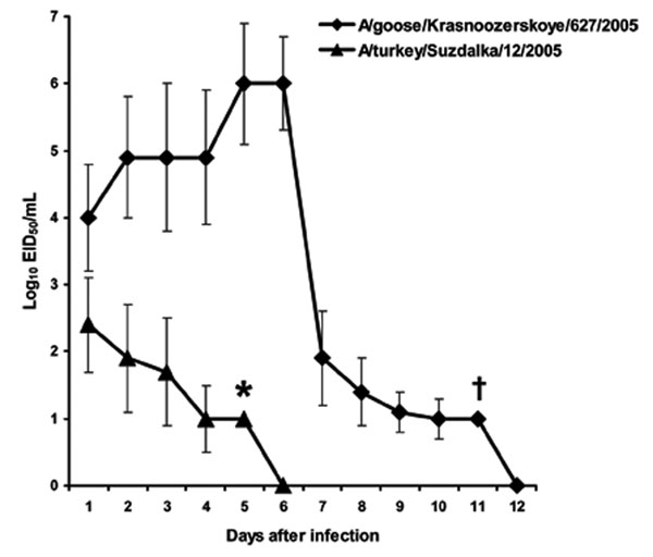 Replication of influenza (H5N1) viruses in ferret upper respiratory tract. Male 8-month-old outbred ferrets were inoculated intranasally with 106 50% egg infectious dose (EID50) of virus in 0.5 mL phosphate-buffered saline. Virus titers are the mean ± SD from 3 ferrets, expressed as log10 EID50/mL of nasal wash fluid. *Virus was detected in 2 ferrets. †Virus was detected in 1 ferret.