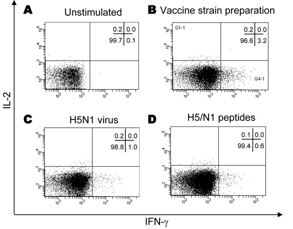 Detection of antigen-specific CD4 T cells against influenza viruses by flow cytometry after in vitro expansion of effector cells. Peripheral blood mononuclear cells were expanded in vitro with interleukin-2 (IL-2) for 9 days in the presence or absence of specific influenza antigens, as indicated, then analyzed by flow cytometry by using the intracellular staining assay. The effector T-cell response was analyzed for interferon-gamma (IFN-γ) or IL-2 cytokine expression. Unstimulated cultures (A), CD4 T-cell response against human influenza vaccine strain preparation (B), inactivated avian influenza (H5N1) (C), and H5/N1 peptides (D) are shown in a representative donor.